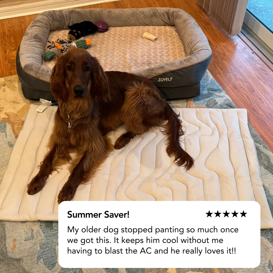 Dog Cooling Mat