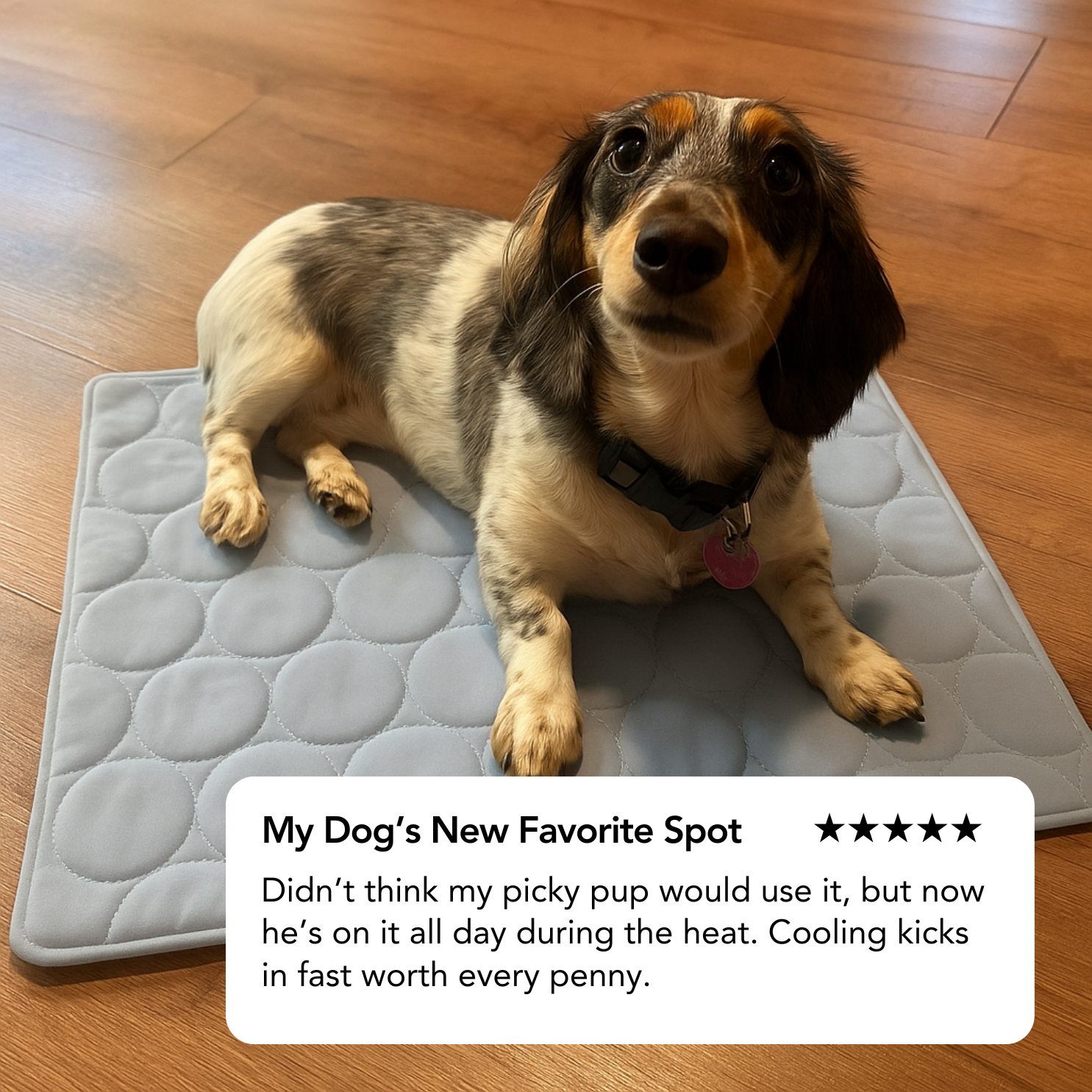 Dog Cooling Mat