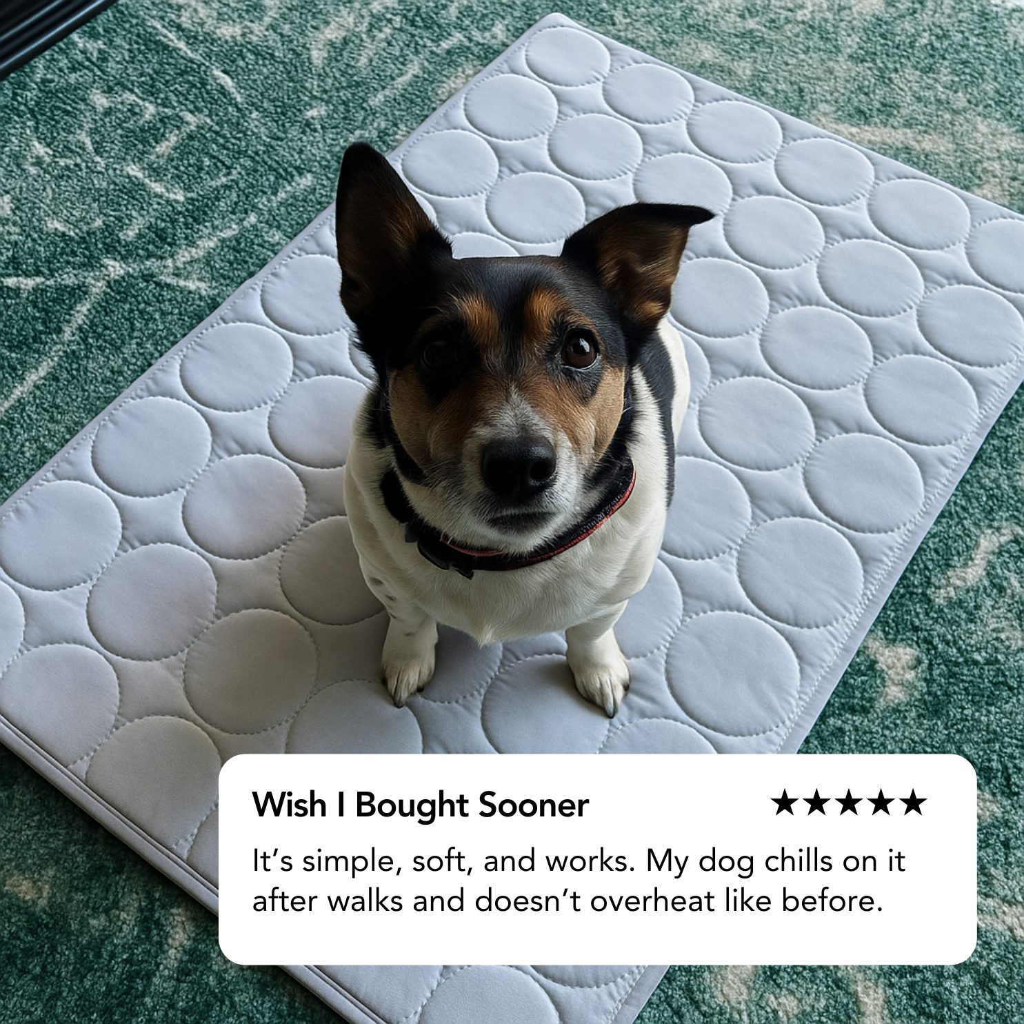 Dog Cooling Mat
